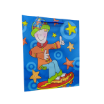 BOLSAS P/REGALO GDES - Imagen 8
