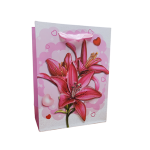 BOLSAS P/REGALO MEDIANA 3D - Imagen 4