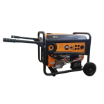 PLANTA ELÉCTRICA/GASOLINA 8.0KW 110/220V 25LT